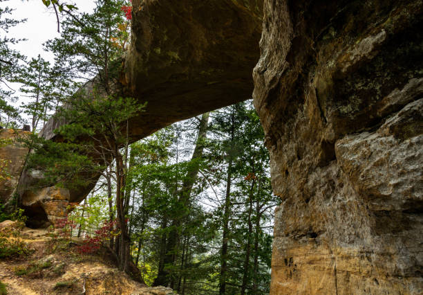 Skybridge Sandstone Arch in Red River Gorge in the Daniel Boone National Forest in Kentucky