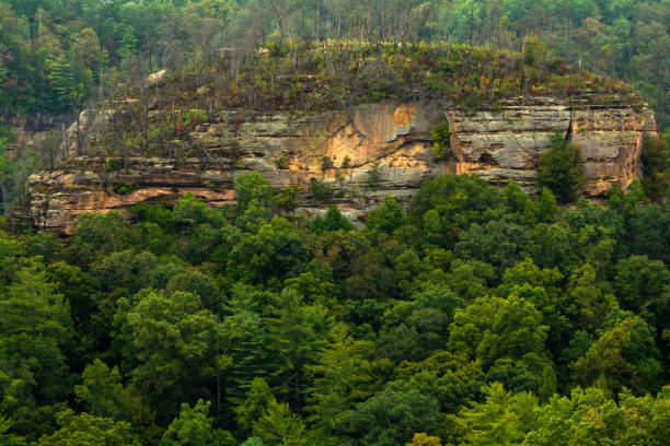 red river gorge - red river imagens e fotografias de stock