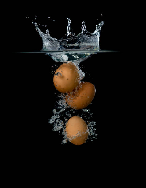 istock Chicken eggs into water with splashes isolated on black background 1430192661
