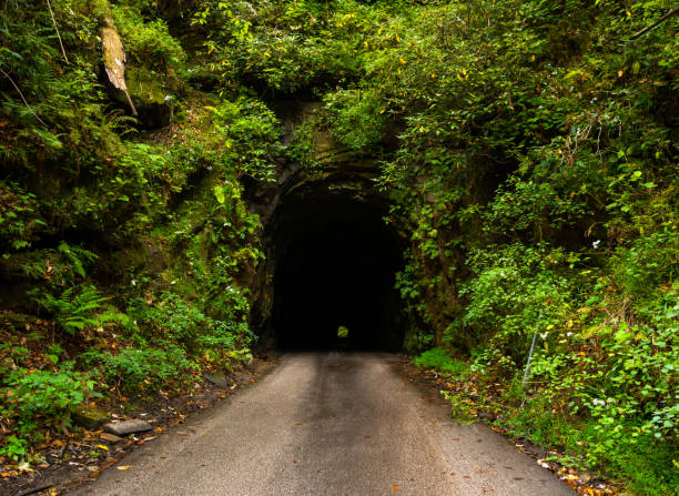 istock Nada Tunnel in the Red River Gorge 1430193342
