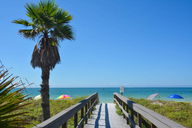 View of clear blue skies and calm ocean waters on a lovely warm sunny summer beach day from the boardwalk in St Petersburg / Clearwater Beach in Florida View of clear blue skies and calm ocean waters on a lovely warm sunny summer beach day from the boardwalk in St Petersburg / Clearwater Beach in Florida clearwater florida photos stock pictures, royalty-free photos & images
