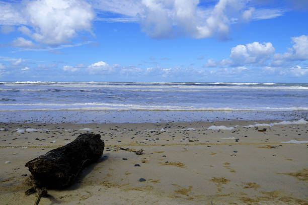 Manning Point Beach in the Sub-Tropical Mid North Coast