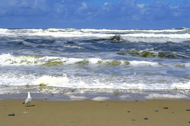 Manning Point Beach in the Sub-Tropical Mid North Coast