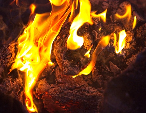 log burning in a camp fire.