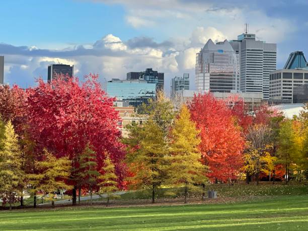istock An autumn view in Montreal 1430203759