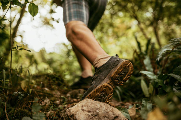 istock one men hiking in the forest 1430204828