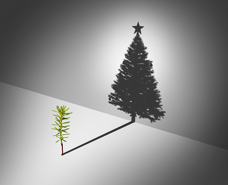 Holiday Season Aspirations concept as a pine tree sapling dreaming of glory casting a shadow shaped as a tall decorated christmas tree with a star as a surreal winter celebration and hope metaphor for the spirit and potential of Christmas with 3D illustration elements.