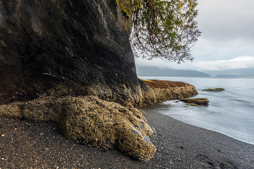 Rock formations along the rugged shoreline on the west coast of Vancouver Island.