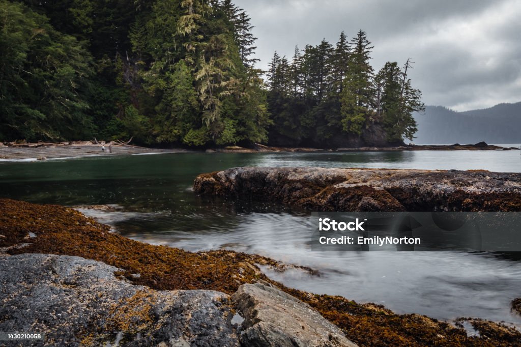 Vancouver Island Coastline The rugged shoreline along the west coast of Vancouver Island on a cloudy day. Pacific Northwest Stock Photo