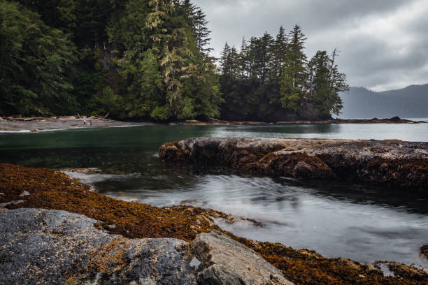 Vancouver Island Coastline The rugged shoreline along the west coast of Vancouver Island on a cloudy day. pacific northwest stock pictures, royalty-free photos & images