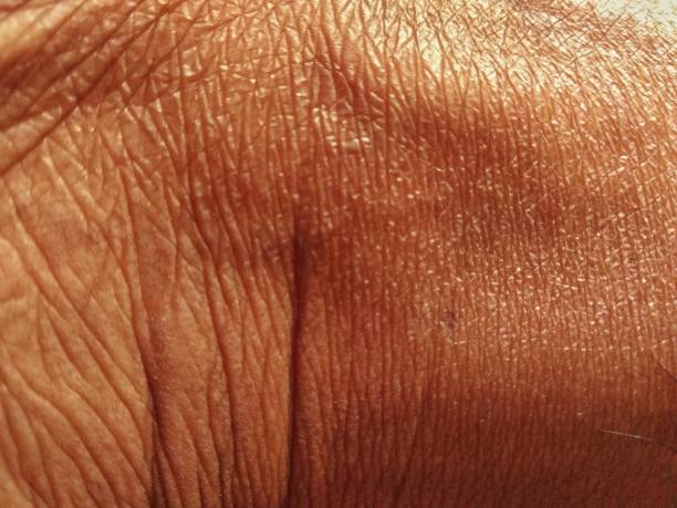 primo piano estremo texture della pelle umana - human skin female wrinkled women foto e immagini stock