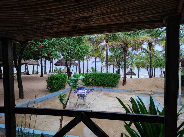 istock views of palm trees and a beach in Senegal 1430229040