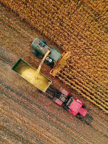 Harvester agriculture Combine machine harvesting golden ripe corn field. Agriculture background. From above. Aerial view.