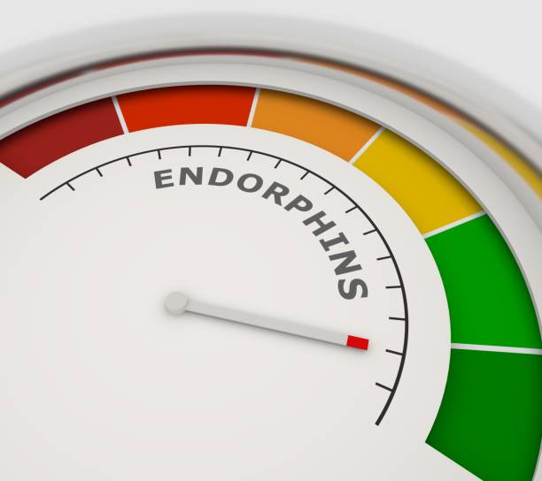 istock Abstract meter with scale reading high level of endorphins. 3D render 1430242976