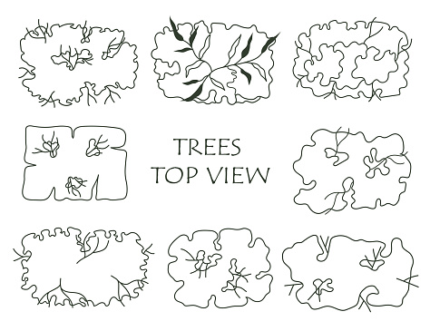Tree For Architectural Floor Plans Entourage Design Stock Illustration ...