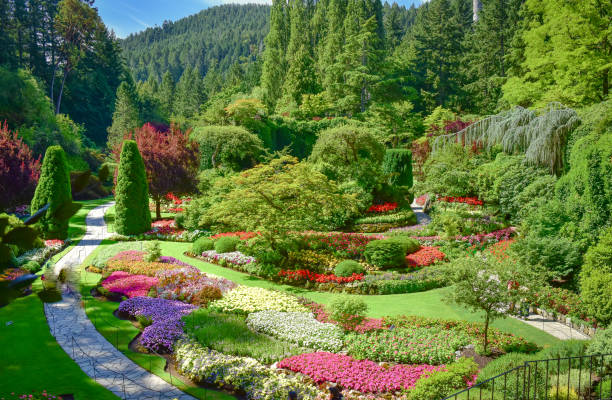 the butchart gardens victoria british columbia - landscaped spring canada footpath foto e immagini stock