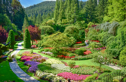 The Butchart Gardens in a sunny day