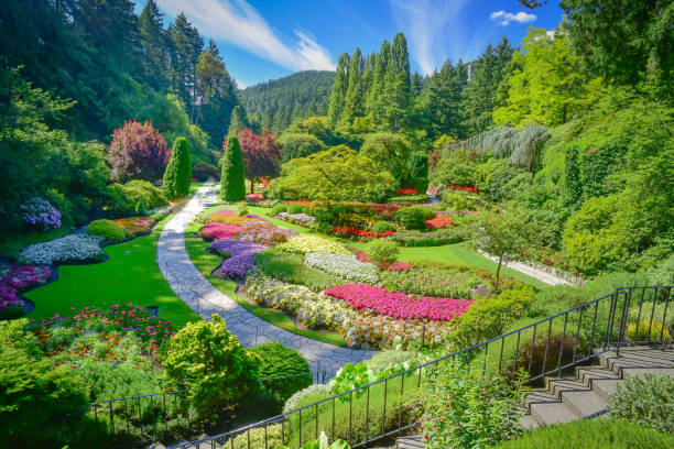 The Butchart Gardens in a sunny day stock photo