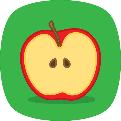 Vector illustration of a hand drawn red apple cut in half against a green background.