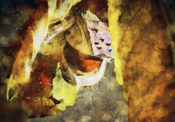 istock Conker - Horse chestnut - Watercolour Effect 1430253583