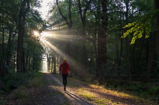 Running A man running in a lane on a sunny morning in a forest. all weather running track stock pictures, royalty-free photos & images