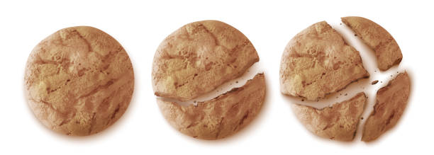 istock Oatmeal cookies top view, whole or cracked biscuit 1430264894