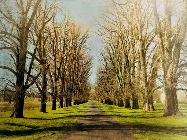 istock New England Vintage Landscape 1430266320