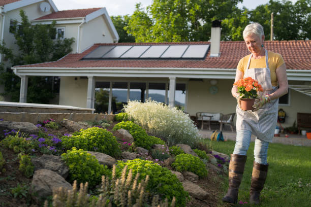istock A retired woman is gardening 1430267300