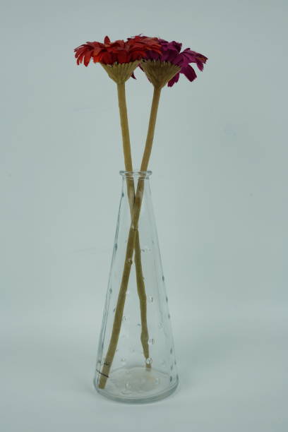 istock A elegant floral arrangement in a white vase 1430273397