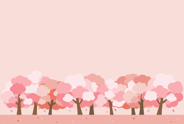 간단하고 귀여운 벚꽃 나무 그림 - pink background illustrations stock illustrations