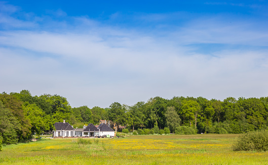 White house in a field with yellow flowers in the Drenste Aa nature area in the Netherlands