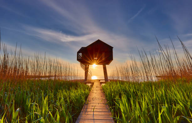 istock Kiekkaaste a birdwatching post in the Netherlands 1430279681