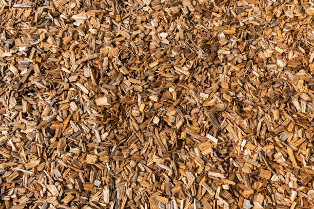 Wood chippings stock photo