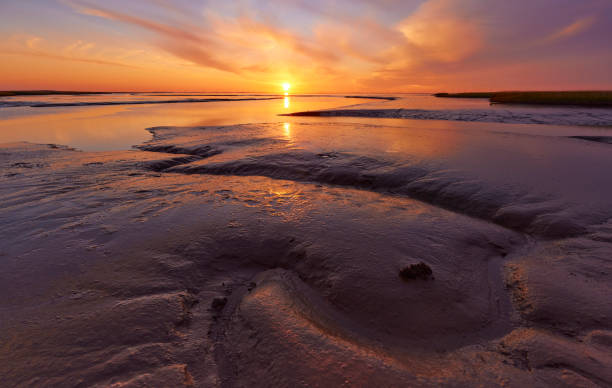 Tidal flats in the Wadden Sea during sunset. The sky is beautifully colored and the sun is just above the horizon.
