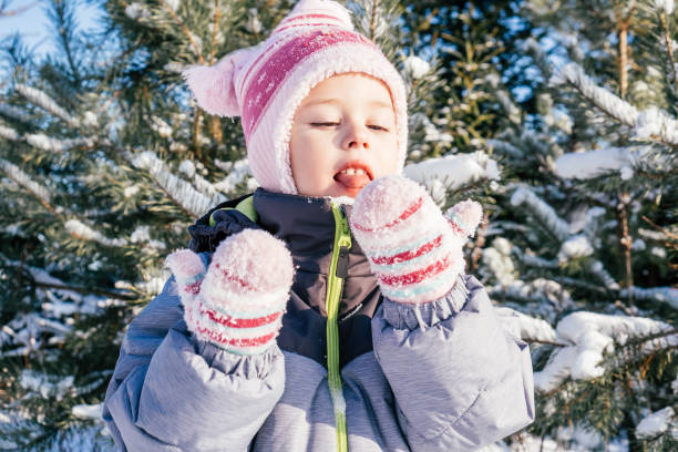 little girl 3-4 years old in winter overalls, hat and mittens, stands against snow-covered pines and fir trees eats snow - child caucasian little girls 3 4 years imagens e fotografias de stock