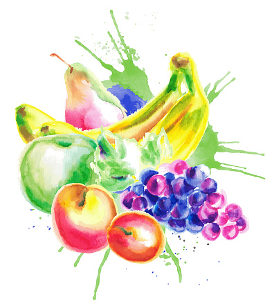 Food fruits sketching. Collection of aquarelle drawned fruits. Vector