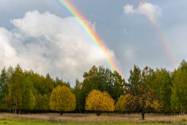 istock Rainbow over the lake. Autumn landscape. 1430286350