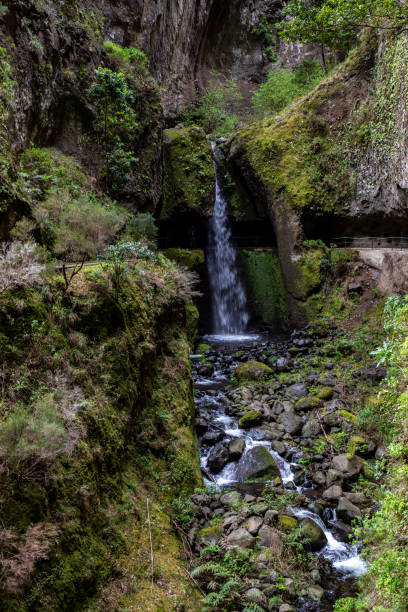 istock The Levada do Moinho to Levada Nova waterfall hike 1430289211