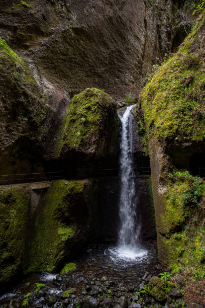 istock The Levada do Moinho to Levada Nova waterfall hike 1430289215