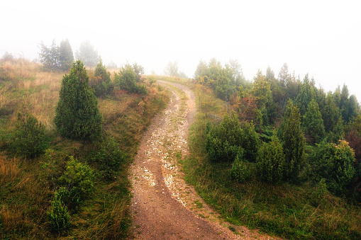 Mountain dirt road from above.