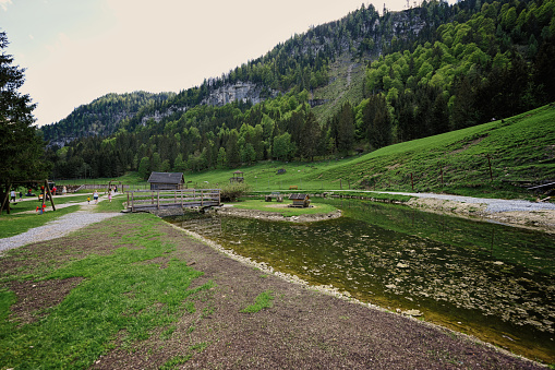 Pond and wooden bridge at Untertauern wildpark, Austria.