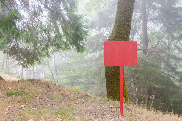 Rusty signpost in the misty forest stock photo