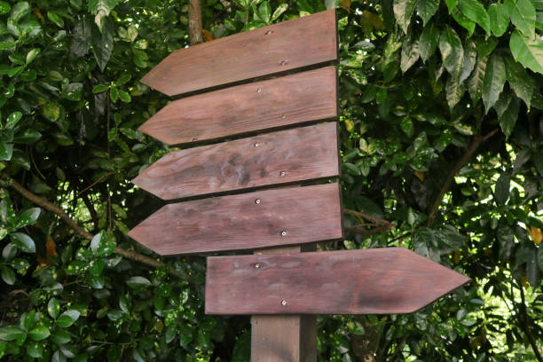Blank Wooden directional sign in the forest stock photo
