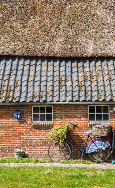 Decorated bicycle with basket and flowers in front of a house in Westervelde stock photo