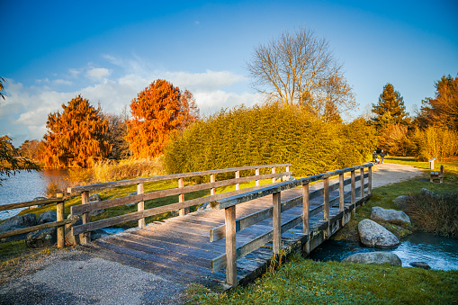 Wooden footbridge over an artificial stream in the Parc Floral in Bordeaux, France on an autumn day