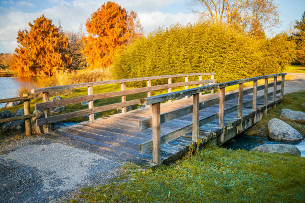 Free Stock Photo of Wooden bridge with autumn leaves over a creek ...