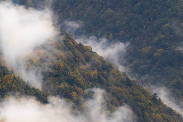 sea of clouds and mountains