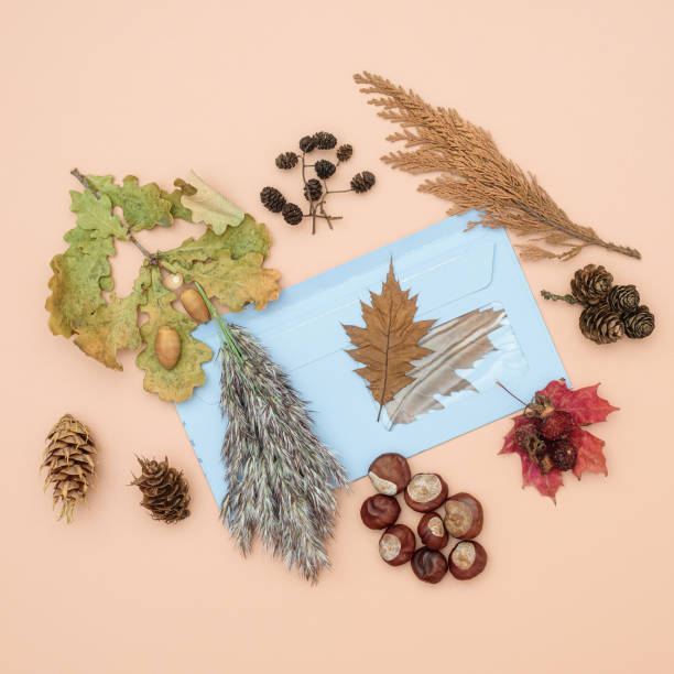 istock Autumn composition with blue envelope on pink background 1430311806