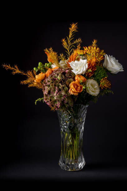 istock Autumn Flower Blossom 1430312003