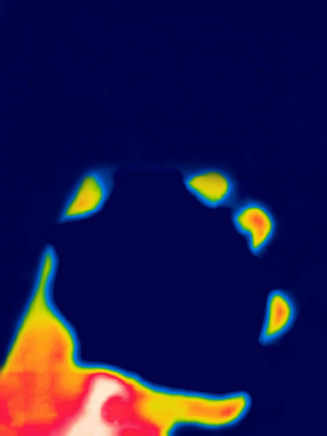 istock snowball in hand infrared 1430318153
